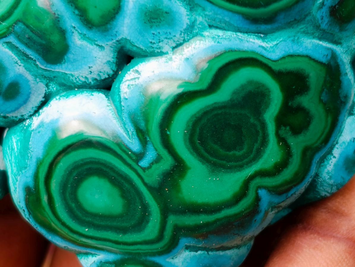 Polished "Eye" Ring Patterned Malacolla Free Form x 1 From Kulukuluku, Congo