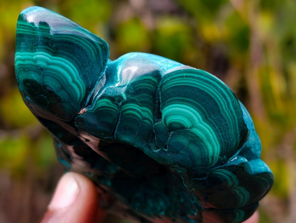 Polished "Eye" Ring Patterned Malacolla Free Form x 1 From Kulukuluku, Congo