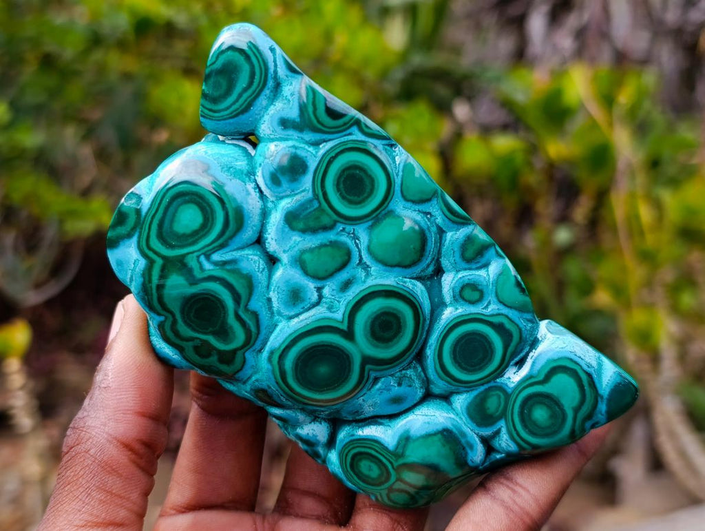 Polished "Eye" Ring Patterned Malacolla Free Form x 1 From Kulukuluku, Congo