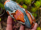 Polished Polychrome Jasper Standing Display Piece x 1 From Madagascar
