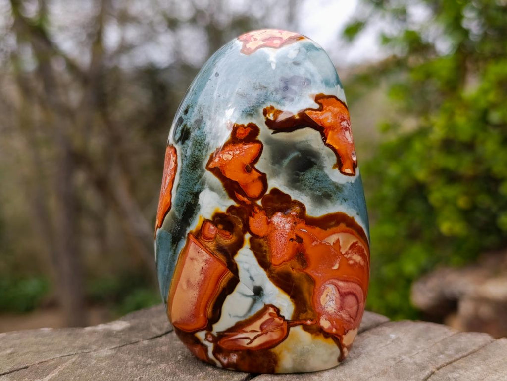 Polished Polychrome Jasper Standing Display Piece x 1 From Madagascar