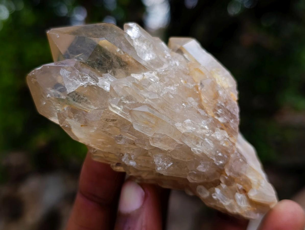 Natural Cascading Citrine Crystal Cluster x 1 From Luena, Congo
