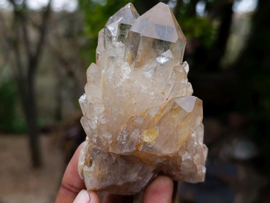 Natural Cascading Citrine Crystal Cluster x 1 From Luena, Congo