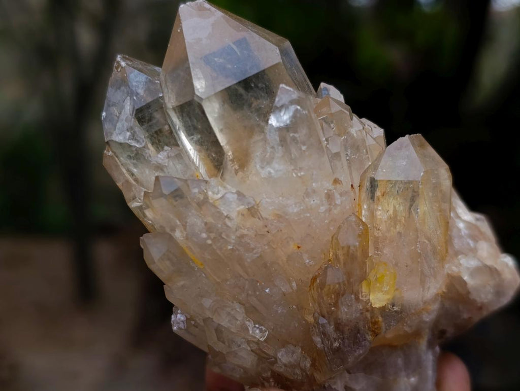 Natural Cascading Citrine Crystal Cluster x 1 From Luena, Congo