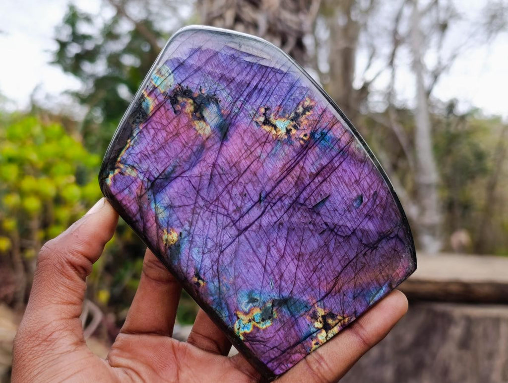 Polished Purple Flash Labradorite Standing Display Piece x 1 From Tulear, Madagascar