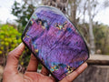 Polished Purple Flash Labradorite Standing Display Piece x 1 From Tulear, Madagascar