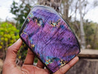 Polished Purple Flash Labradorite Standing Display Piece x 1 From Tulear, Madagascar