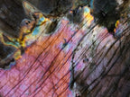 Polished Purple Flash Labradorite Standing Display Piece x 1 From Tulear, Madagascar