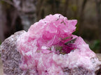 Natural Cabinet Size Super Rare Rhodocalcite with Kolwezite Specimen on a Dolomite Matrix x 1 From Mashamba West Mine, Congo