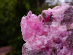 Natural Cabinet Size Super Rare Rhodocalcite with Kolwezite Specimen on a Dolomite Matrix x 1 From Mashamba West Mine, Congo