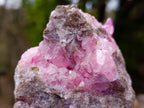 Natural Cabinet Size Super Rare Rhodocalcite with Kolwezite Specimen on a Dolomite Matrix x 1 From Mashamba West Mine, Congo