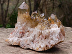 Natural Cascading Citrine Crystal Cluster x 1 From Luena, Congo