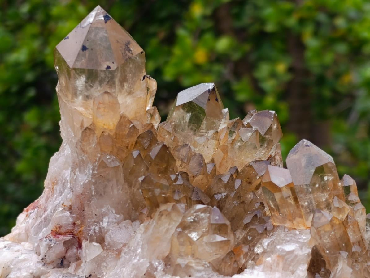 Natural Cascading Citrine Crystal Cluster x 1 From Luena, Congo