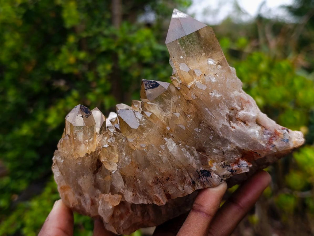 Natural Cascading Citrine Crystal Cluster x 1 From Luena, Congo