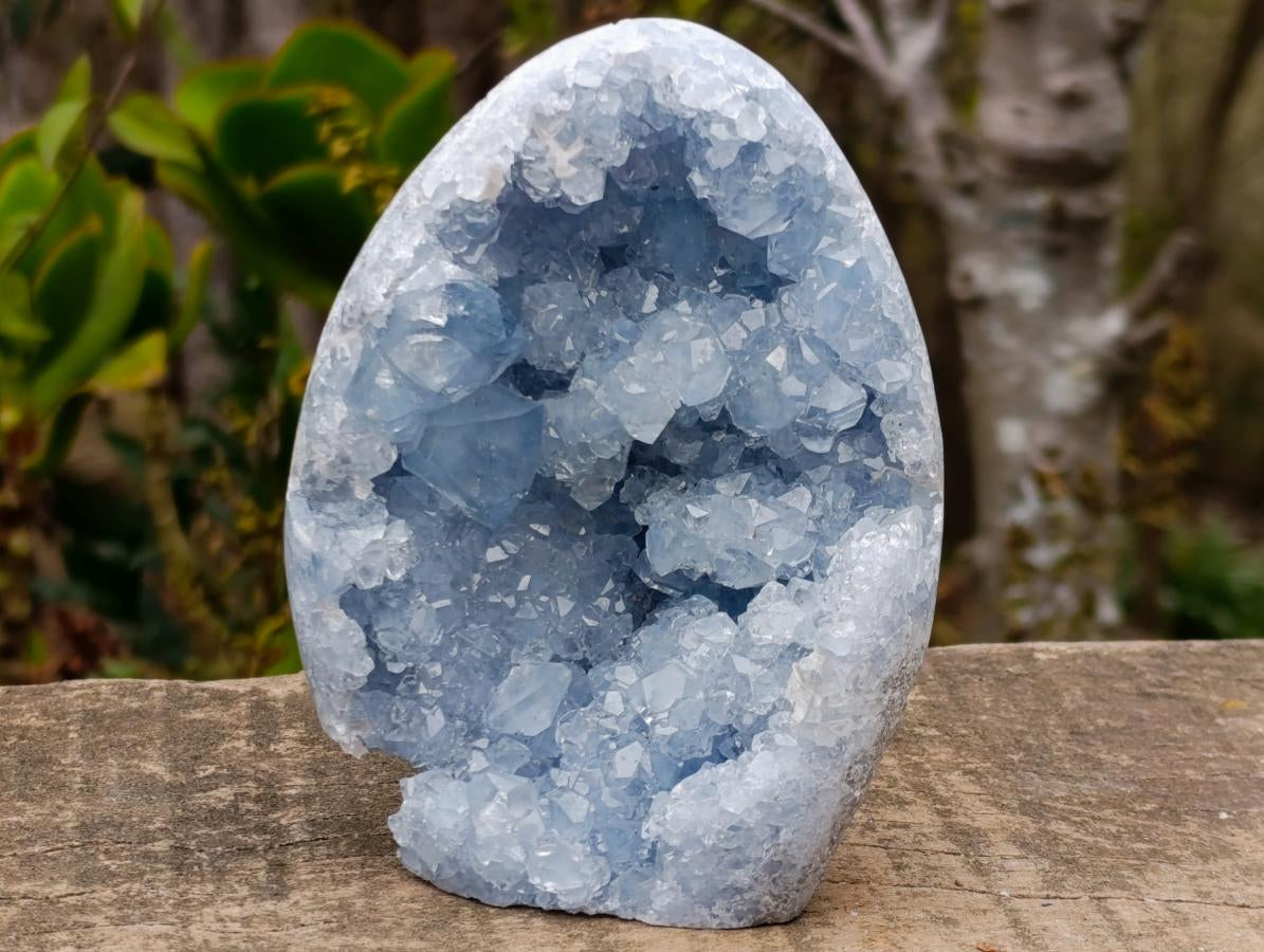 Polished and Natural Blue Celestite Geode Standing Display Piece x 1 From Sakoany Madagascar