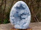 Polished and Natural Blue Celestite Geode Standing Display Piece x 1 From Sakoany Madagascar