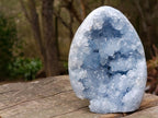 Polished and Natural Blue Celestite Geode Standing Display Piece x 1 From Sakoany Madagascar
