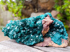 Natural Large Cabinet Size Dioptase Specimen on a Dolomite Matrix x 1 From Mashamba East, Congo