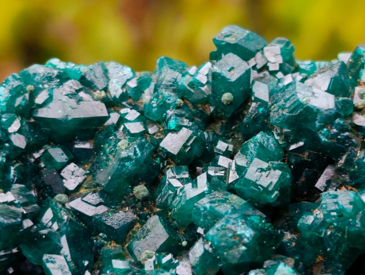 Natural Large Cabinet Size Dioptase Specimen on a Dolomite Matrix x 1 From Mashamba East, Congo