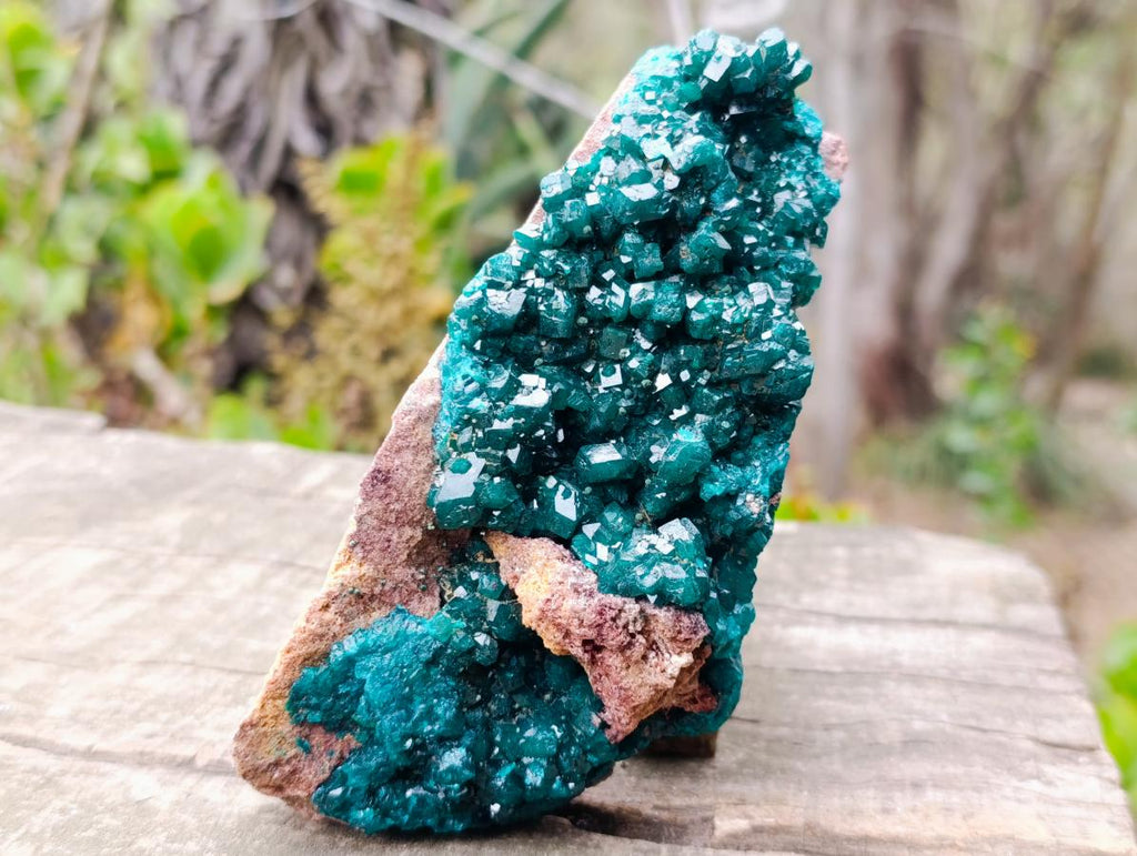 Natural Large Cabinet Size Dioptase Specimen on a Dolomite Matrix x 1 From Mashamba East, Congo