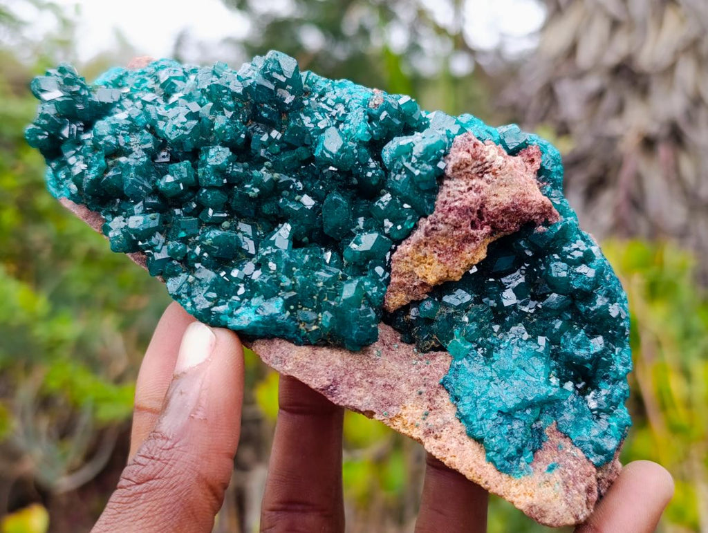 Natural Large Cabinet Size Dioptase Specimen on a Dolomite Matrix x 1 From Mashamba East, Congo