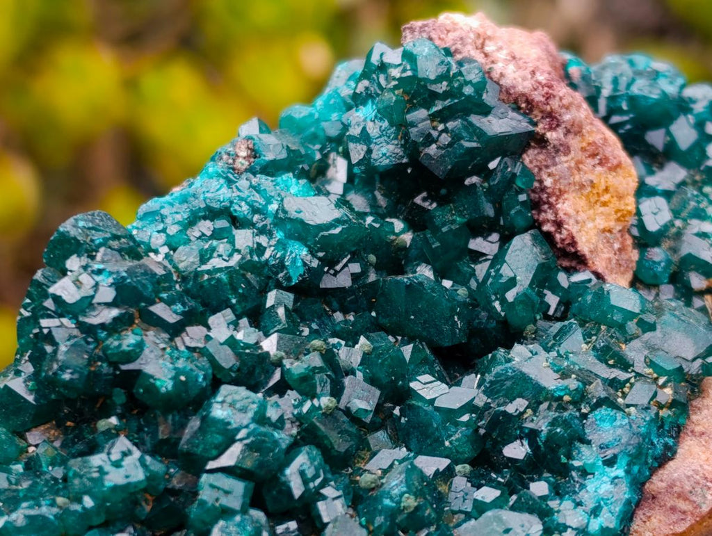 Natural Large Cabinet Size Dioptase Specimen on a Dolomite Matrix x 1 From Mashamba East, Congo
