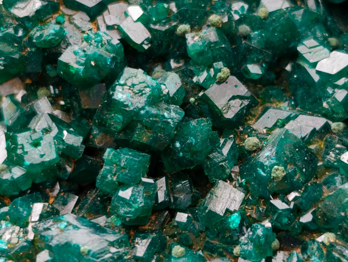 Natural Large Cabinet Size Dioptase Specimen on a Dolomite Matrix x 1 From Mashamba East, Congo