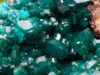 Natural Large Cabinet Size Dioptase Specimen on a Dolomite Matrix x 1 From Mashamba East, Congo