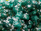 Natural Large Cabinet Size Dioptase Specimen on a Dolomite Matrix x 1 From Mashamba East, Congo