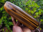 Polished Large Highly Chatoyant Golden Tigers Eye Standing Display Piece x 1 From South Africa