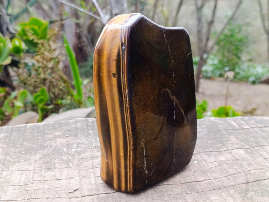 Polished Large Highly Chatoyant Golden Tigers Eye Standing Display Piece x 1 From South Africa