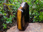 Polished Large Highly Chatoyant Golden Tigers Eye Standing Display Piece x 1 From South Africa