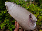 Natural Cascading Clear Smokey Quartz Crystal x 1 From Mulanje, Malawi