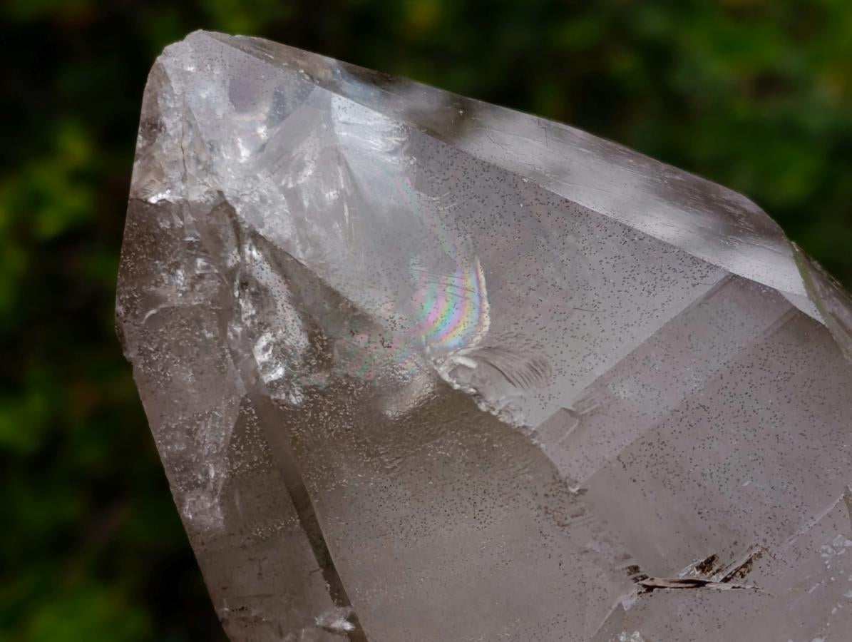 Natural Cascading Clear Smokey Quartz Crystal x 1 From Mulanje, Malawi