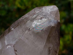 Natural Cascading Clear Smokey Quartz Crystal x 1 From Mulanje, Malawi