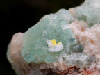 Natural Cabinet Size Riemvasmaak Bipyramidal Fluorite Specimen x 1 From Riemvasmaak, South Africa