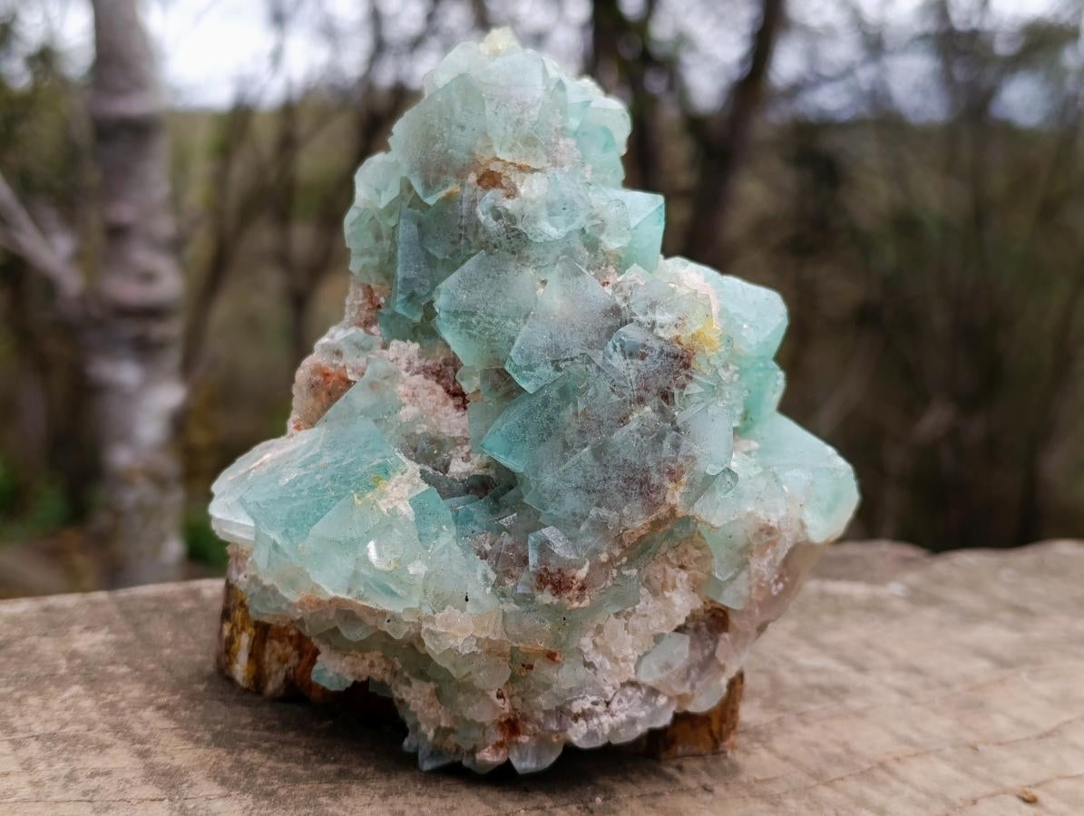 Natural Cabinet Size Riemvasmaak Bipyramidal Fluorite Specimen x 1 From Riemvasmaak, South Africa