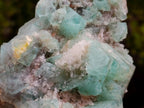 Natural Cabinet Size Riemvasmaak Bipyramidal Fluorite Specimen x 1 From Riemvasmaak, South Africa