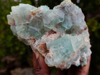 Natural Cabinet Size Riemvasmaak Bipyramidal Fluorite Specimen x 1 From Riemvasmaak, South Africa