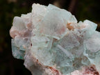 Natural Cabinet Size Riemvasmaak Bipyramidal Fluorite Specimen x 1 From Riemvasmaak, South Africa