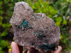 Natural Cabinet Size Ball Malachite Specimen on Smokey Quartz x 1 From Mindingi Mine, Congo