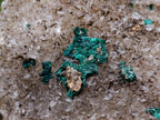 Natural Cabinet Size Ball Malachite Specimen on Smokey Quartz x 1 From Mindingi Mine, Congo