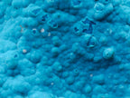 Natural Cabinet Size Botryoidal Chrysocolla Specimen on Dolomite x 1 From Kulukuluku, Congo
