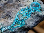 Natural Cabinet Size Botryoidal Chrysocolla Specimen on Dolomite x 1 From Kulukuluku, Congo