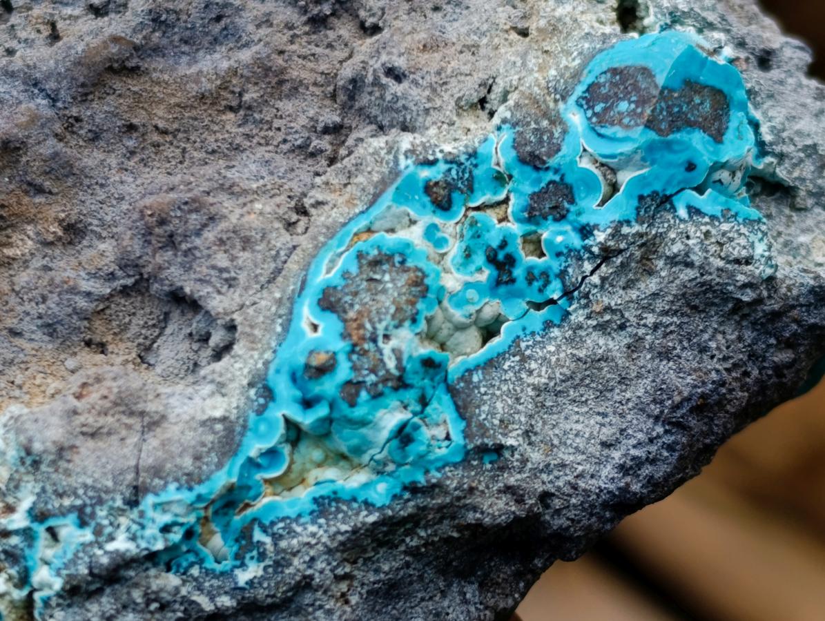 Natural Cabinet Size Botryoidal Chrysocolla Specimen on Dolomite x 1 From Kulukuluku, Congo