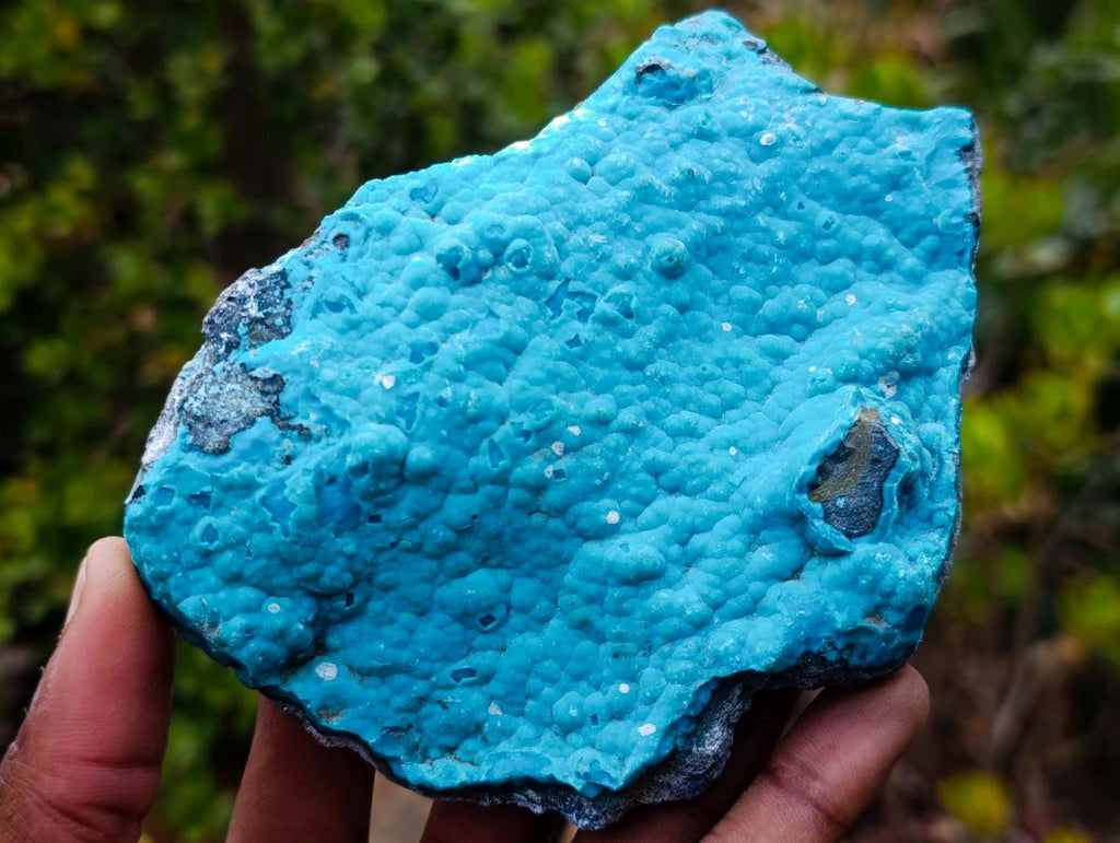 Natural Cabinet Size Botryoidal Chrysocolla Specimen on Dolomite x 1 From Kulukuluku, Congo