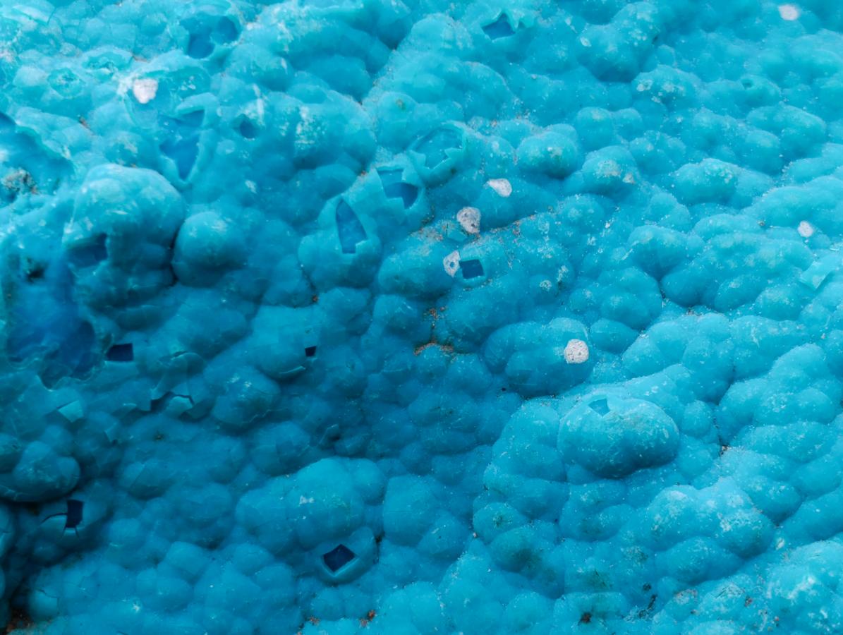 Natural Cabinet Size Botryoidal Chrysocolla Specimen on Dolomite x 1 From Kulukuluku, Congo