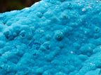 Natural Cabinet Size Botryoidal Chrysocolla Specimen on Dolomite x 1 From Kulukuluku, Congo