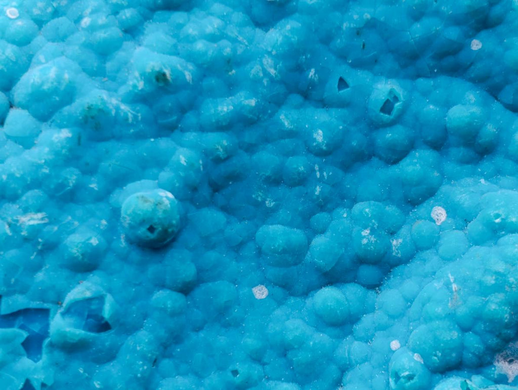 Natural Cabinet Size Botryoidal Chrysocolla Specimen on Dolomite x 1 From Kulukuluku, Congo