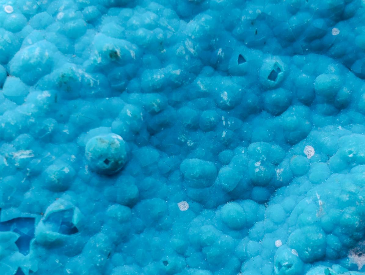 Natural Cabinet Size Botryoidal Chrysocolla Specimen on Dolomite x 1 From Kulukuluku, Congo